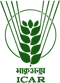 ICAR Logo